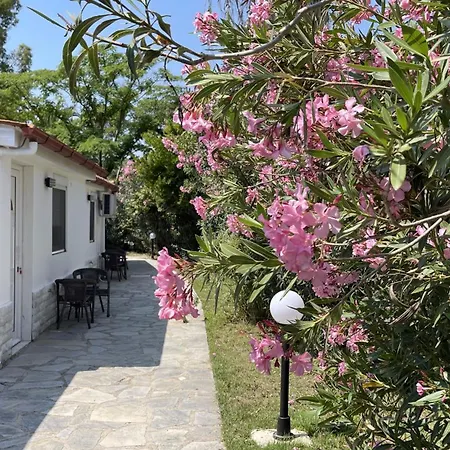 Palma Village By Greek Pride 4* Skála Foúrkas